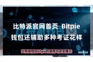 比特派官网首页  Bitpie钱包还辅助多种考证花样