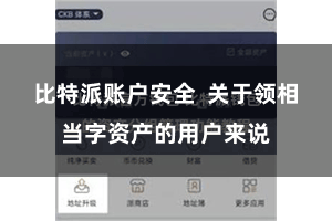 比特派账户安全 关于领相当字资产的用户来说