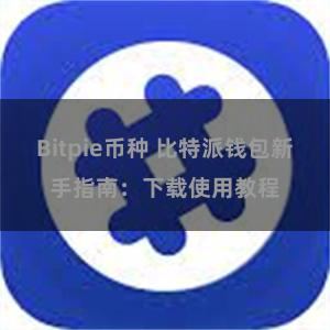 Bitpie币种 比特派钱包新手指南：下载使用教程