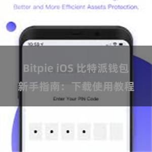 Bitpie iOS 比特派钱包新手指南：下载使用教程