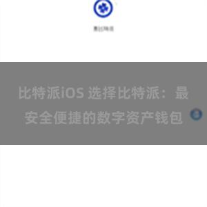 比特派iOS 选择比特派：最安全便捷的数字资产钱包