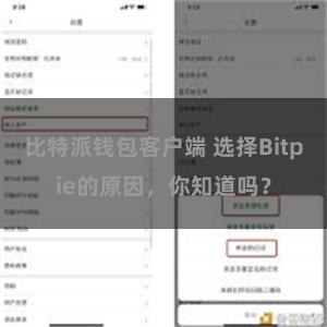 比特派钱包客户端 选择Bitpie的原因，你知道吗？