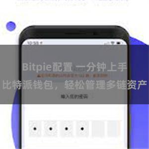 Bitpie配置 一分钟上手比特派钱包，轻松管理多链资产