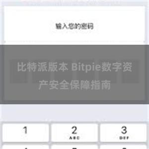 比特派版本 Bitpie数字资产安全保障指南