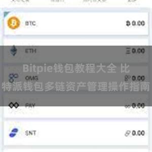 Bitpie钱包教程大全 比特派钱包多链资产管理操作指南