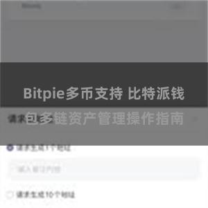 Bitpie多币支持 比特派钱包多链资产管理操作指南