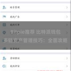 Bitpie推荐 比特派钱包多链资产管理技巧：全面攻略