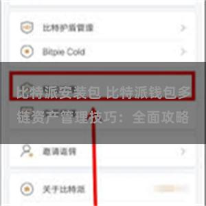 比特派安装包 比特派钱包多链资产管理技巧：全面攻略