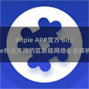 Bitpie APP官方 Bitpie钱包支持的区块链网络全面解析