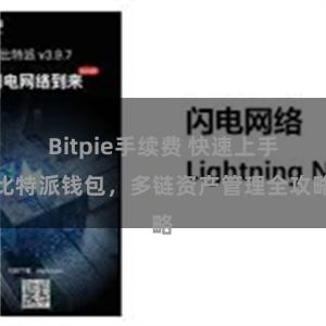 Bitpie手续费 快速上手比特派钱包，多链资产管理全攻略