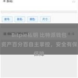 Bitpie私钥 比特派钱包：资产百分百自主掌控，安全有保障