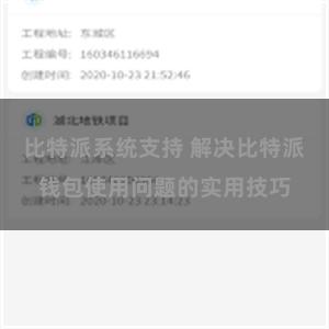 比特派系统支持 解决比特派钱包使用问题的实用技巧