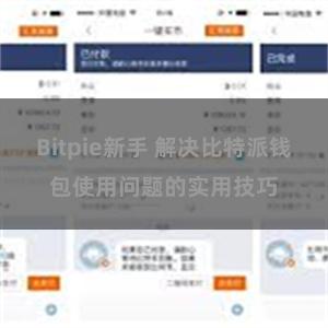 Bitpie新手 解决比特派钱包使用问题的实用技巧