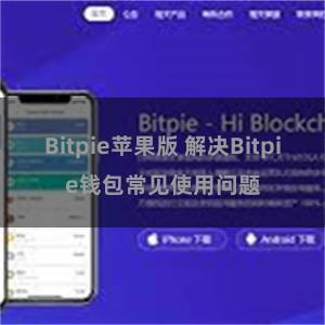 Bitpie苹果版 解决Bitpie钱包常见使用问题