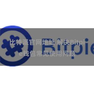 比特派官网地址 解决Bitpie钱包常见使用问题