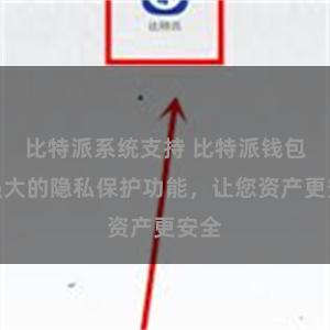 比特派系统支持 比特派钱包：强大的隐私保护功能，让您资产更安全