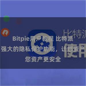 Bitpie用户教程 比特派钱包：强大的隐私保护功能，让您资产更安全