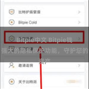 Bitpie中文 Bitpie钱包：强大的隐私保护功能，守护您的资产