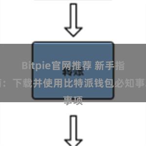 Bitpie官网推荐 新手指南：下载并使用比特派钱包必知事项