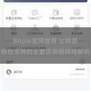 Bitpie官网推荐 比特派钱包支持的主要区块链网络解析