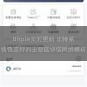 Bitpie实时更新 比特派钱包支持的主要区块链网络解析