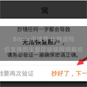 Bitpie手续费 比特派钱包支持的主要区块链网络解析