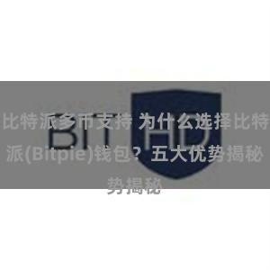 比特派多币支持 为什么选择比特派(Bitpie)钱包？五大优势揭秘