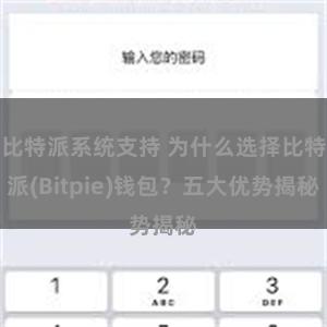 比特派系统支持 为什么选择比特派(Bitpie)钱包？五大优势揭秘