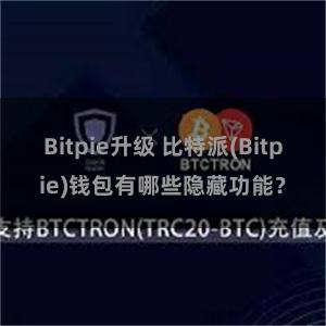 Bitpie升级 比特派(Bitpie)钱包有哪些隐藏功能？