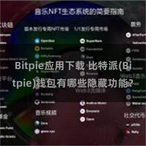 Bitpie应用下载 比特派(Bitpie)钱包有哪些隐藏功能？