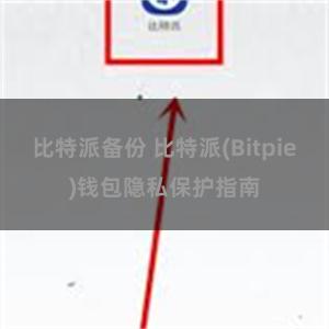 比特派备份 比特派(Bitpie)钱包隐私保护指南