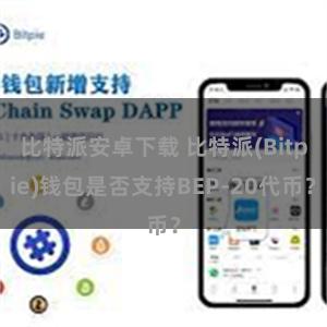 比特派安卓下载 比特派(Bitpie)钱包是否支持BEP-20代币？