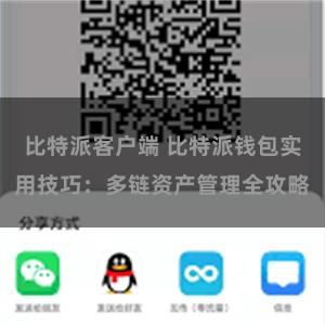 比特派客户端 比特派钱包实用技巧：多链资产管理全攻略