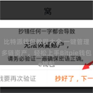 比特派钱包教程大全 一键管理多链资产，轻松上手Bitpie钱包