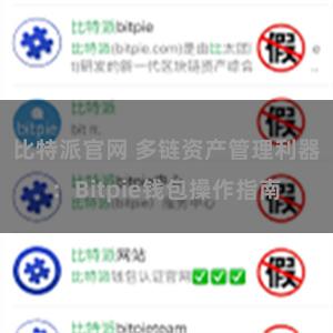 比特派官网 多链资产管理利器：Bitpie钱包操作指南
