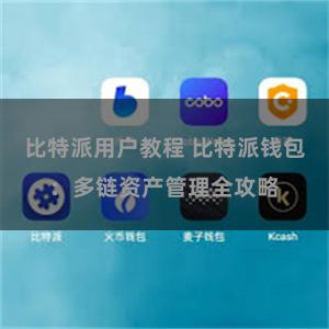 比特派用户教程 比特派钱包：多链资产管理全攻略