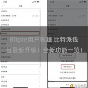 Bitpie用户教程 比特派钱包最新升级！全新功能一览！