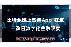 比特派链上钱包App  在这一改日数字化金融限度