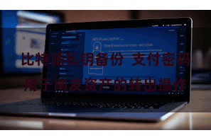 比特派私钥备份  支付密码用于阐发资产的转出操作